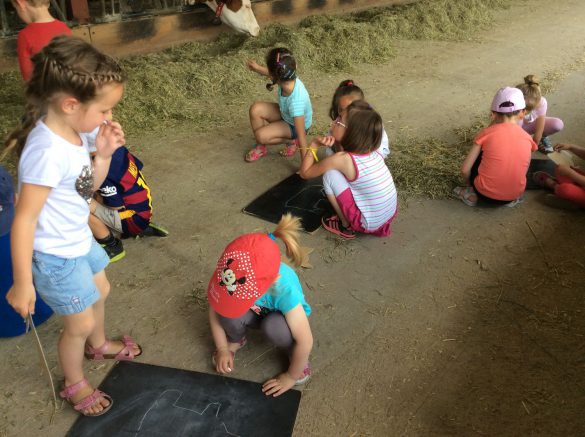 Goûter d'anniversaire à la ferme 4