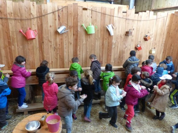 Goûter d'anniversaire à la ferme